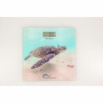 Comprar Báscula personal electrónica - little balance - 8653 - usb - 180 kg / 100 g - patrón tortuga verde