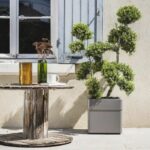 Comprar Jardinera cuadrada de 40 cm - eda - carel - 26 l - con ruedas - para uso exterior o interior - 39 x 39 x 39 cm (alto) - color topo