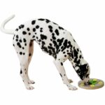 Comprar Juego de rompecabezas/aprendizaje - kerbl - switch - Ø25 cm