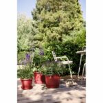 5 x a 18 cm - exterior - 100% reciclada