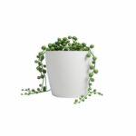 Comprar Olla - artevasi - san remo - 30 ma - blanco