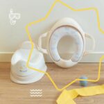 Comprar Orinal de entrenamiento babymoov con recipiente extraíble - seagull