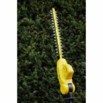 Comprar Stanley fatmax - cortasetos de pÉrtiga 18v - se suministra con cargador y batería de 4ah