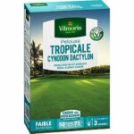 Comprar Vilmorin semillas de hierba marina les tropicales cynodon dactylon - 500 g