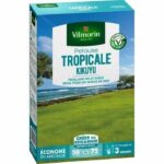 Comprar Vilmorin semillas de hierbas tropicales kikuyu - 500 g
