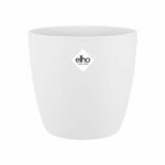 Comprar Bruselas rond 30 blanco