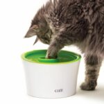 Comprar Dispensador de comida para gatos catit senses 2