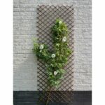 Comprar Enrejado extensible - nature - mimbre natural fsc - 90 x 180 cm
