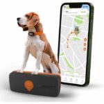 Comprar Gps tracker for dogs - weenect xs (black edition 2023)
