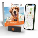 Comprar Gps tracker for dogs - weenect xs (black edition 2023)