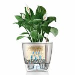 Comprar Jardinera - classico premium ls 28 - kit completo - blanco brillo - 7 l - lechuza