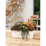 Comprar Lechuza jardinera balconera color 50 todo en uno blanco 15670