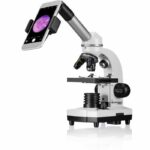 Comprar Microscopio biolux sel con sistema de zoom - bresser junior - aumento 40x-1600x - soporte para smartphone - caja rígida blanca