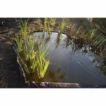 Comprar Naturaleza borde del jardín y estanque en pvc reciclado borde fijo - grosor 7 mm - h 14 cm x 15 m