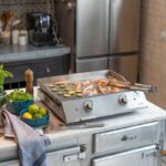 Comprar Plancha eléctrica de acero inoxidable con 2 termostatos - livoo - doc302 -