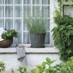 Comprar Platillo - deroma - origen - 67 x h6 cm - gris